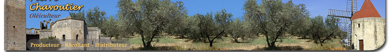 Tradition Olive - Huile d'olive bio